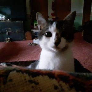 Meet your Posher, Jackie